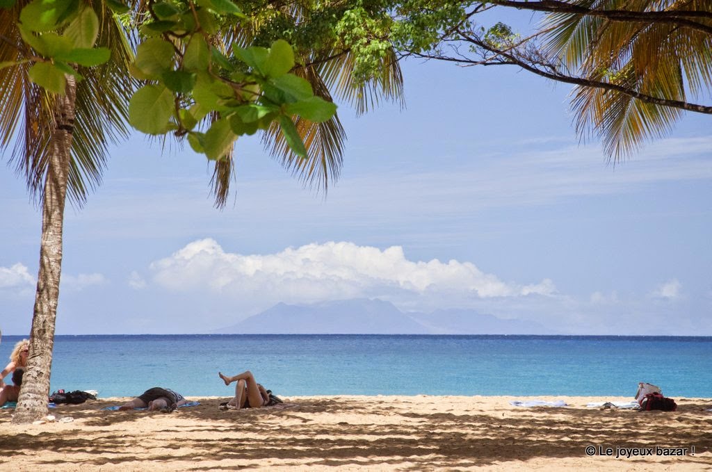 Guadeloupe  -Deshaies - plage de Grande Anse