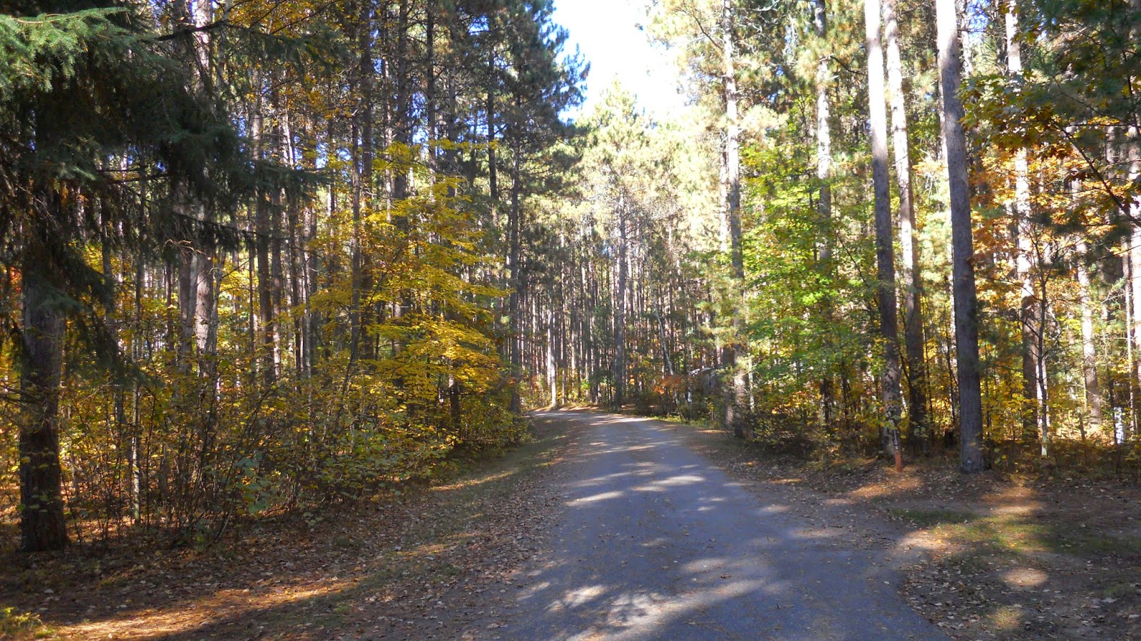 National Forest Camper Norway Beach Recreation Area / Chippewa Loop
