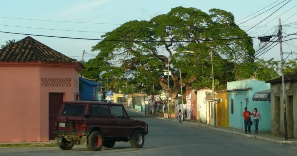 Bitácora y Memorias // Blog et Mémoires Boraure, Yaracuy