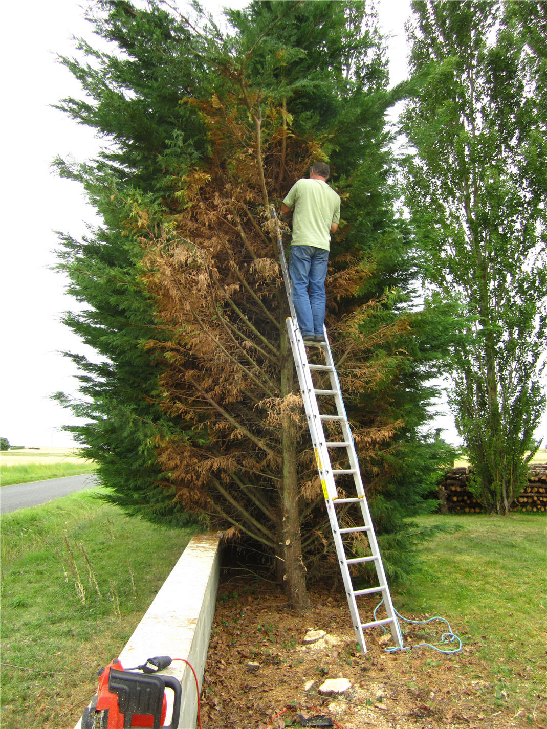 The story of our life returning to England from BrayesousFaye