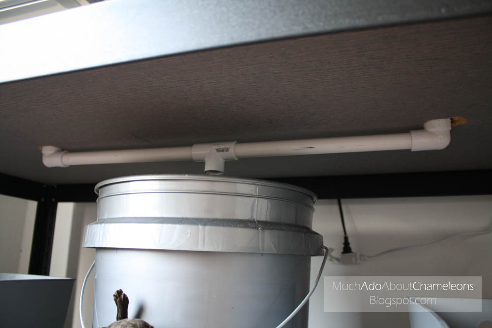 How To Make A Drainage Table Much Ado About Chameleons