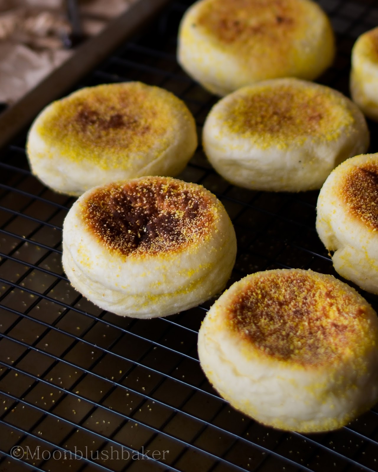 Milestones// Coconut English muffins The moonblush Baker