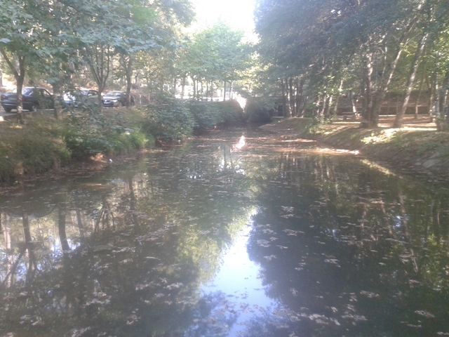 Rio Uima - Zona Fluvial