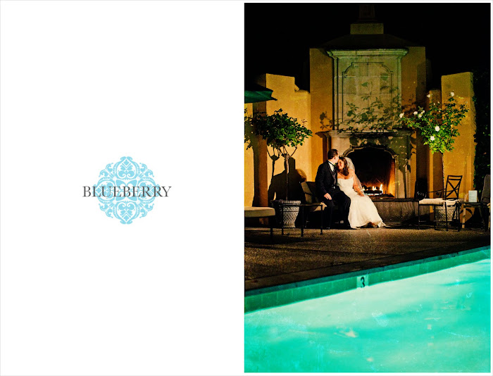 Beautiful gorgeous lafayette park hotel wedding photography bride groom