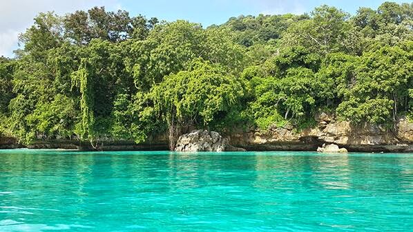 Nature in The World: Taman Nasional Alas Purwo, Jawa Timur