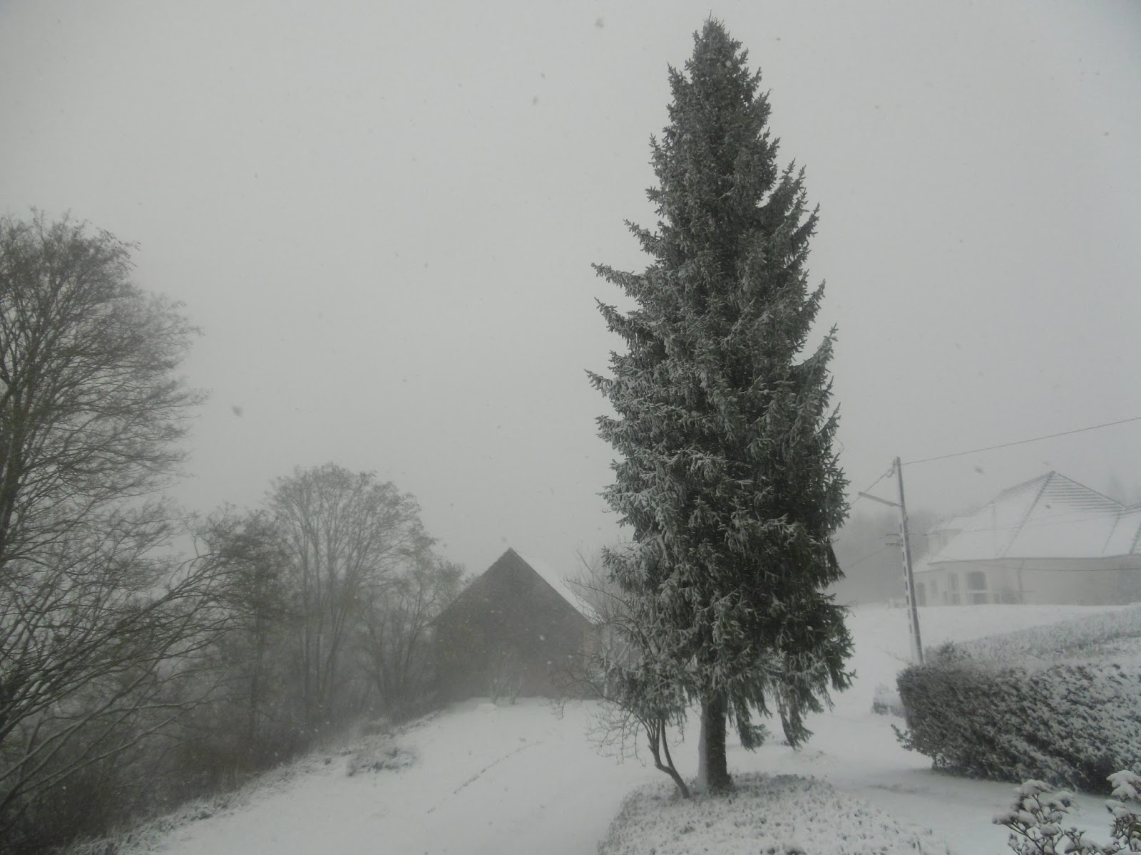 rencontre soucht