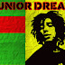 DancehallBr -  Junior Dread feat. Black Alien - Nao Deixe de Lutar (prod. StereoDubs)