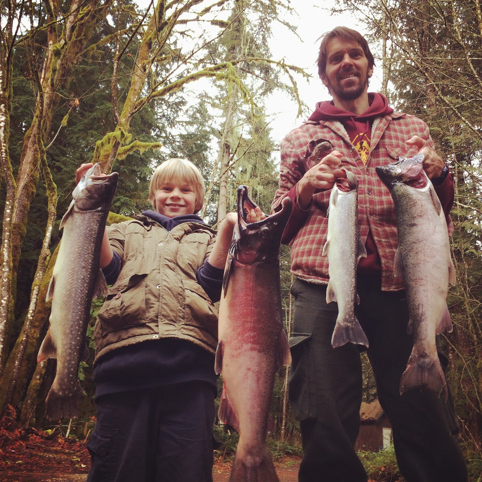 Marblemount Homestead I can hardly believe it!