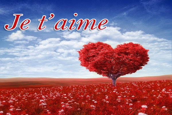 Afficher l'image d'origine