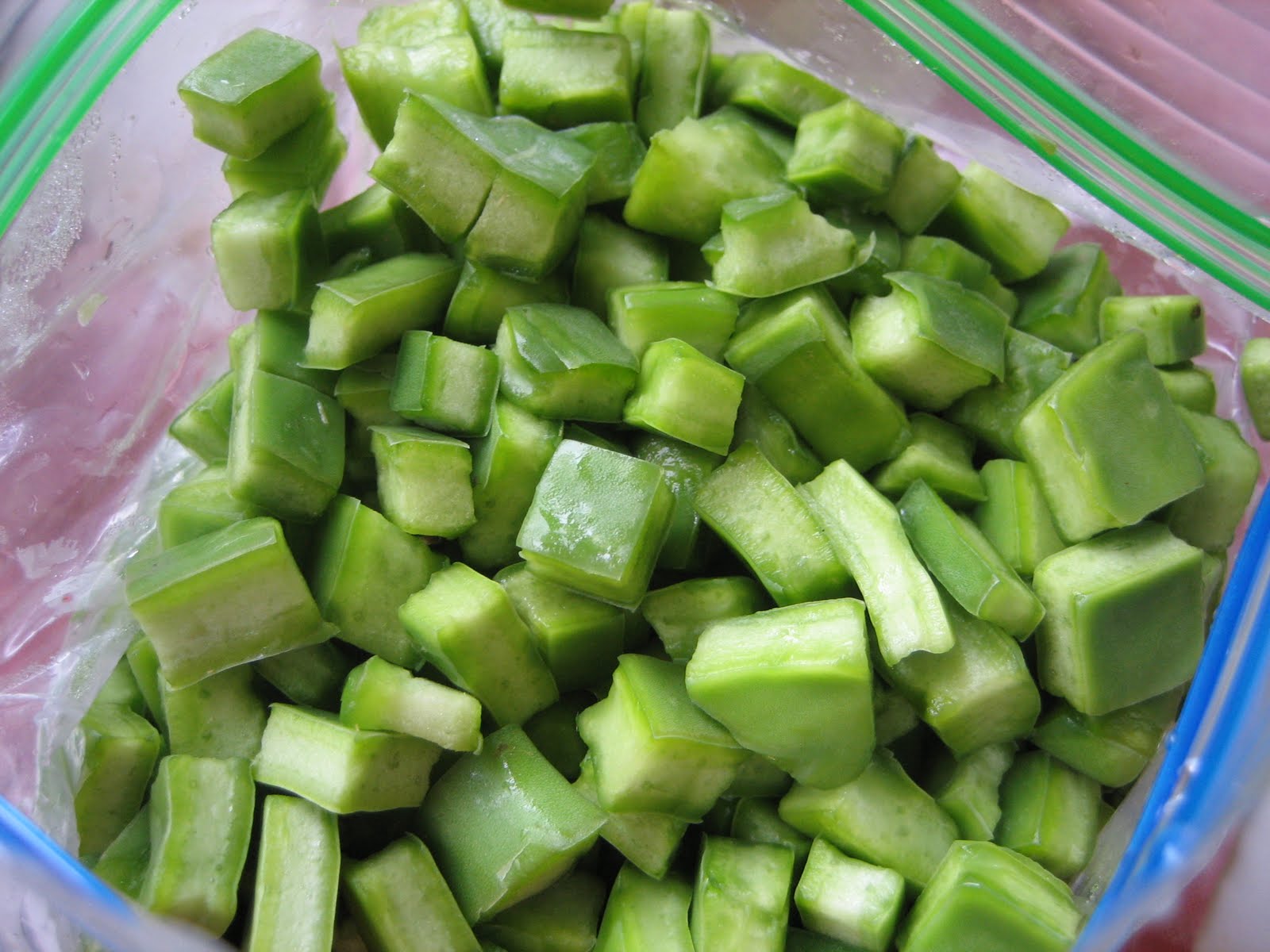 Lentil Breakdown Nopales Cactus Salad (with Cahones)