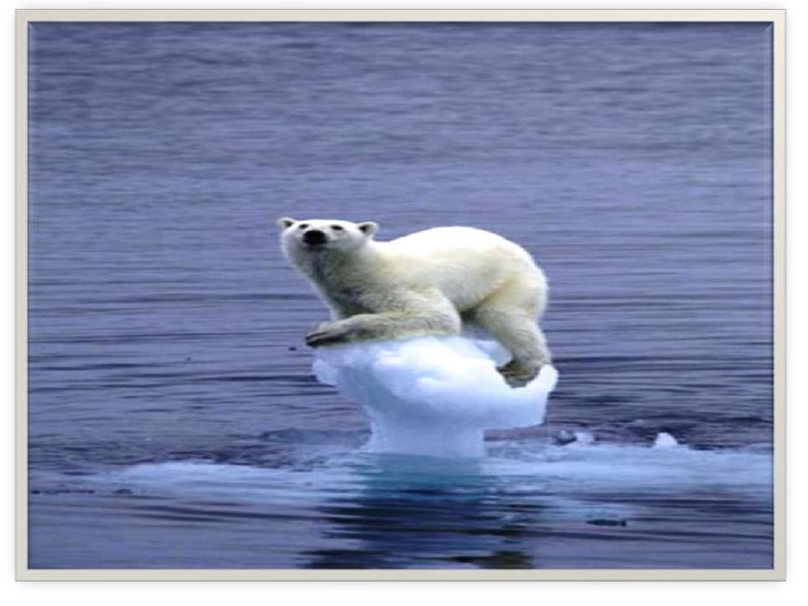 We Must Stop Global Warming And Absouletly We Can Do It