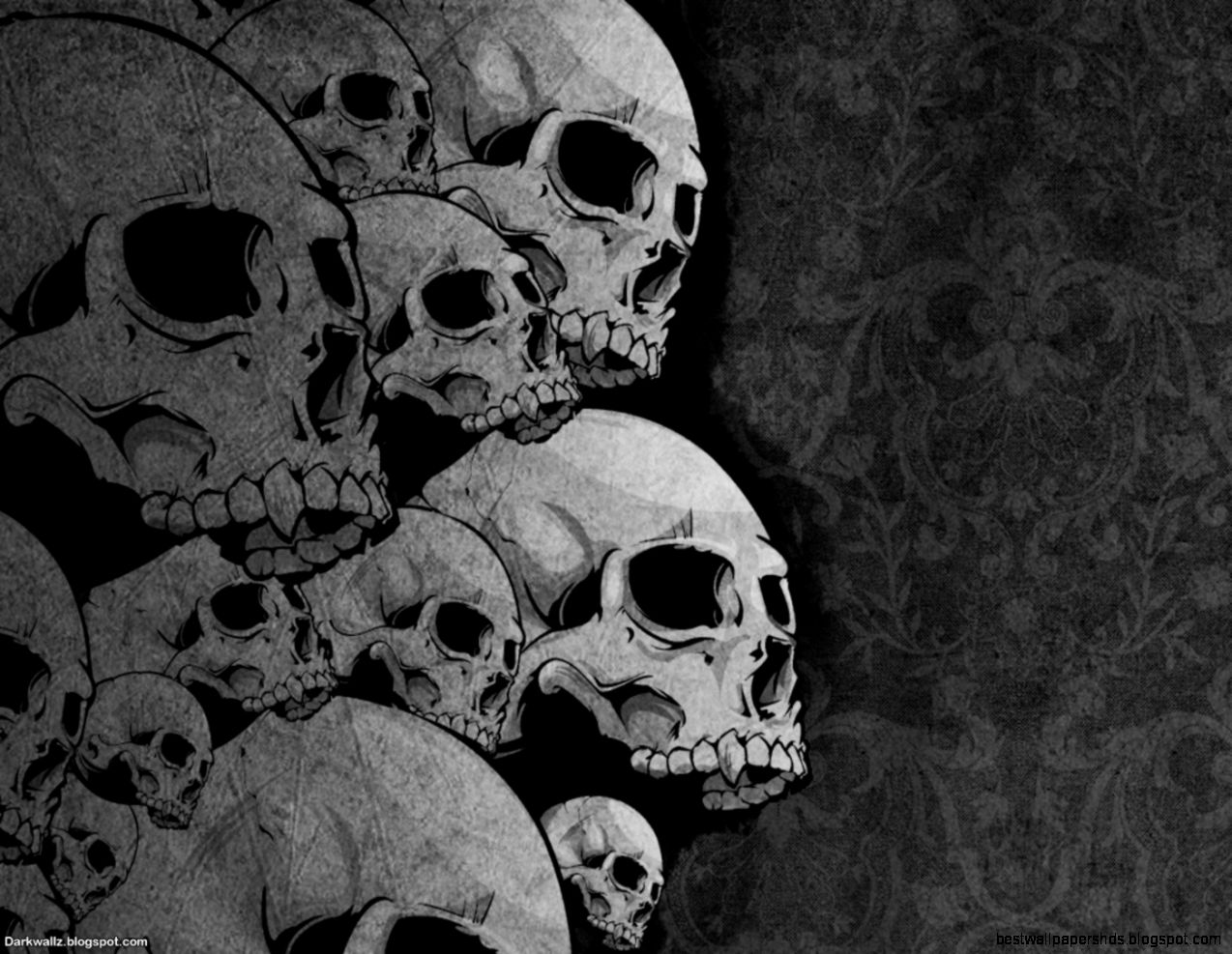 skulls wallpapers skulls wallpapers