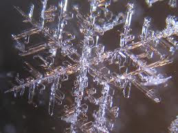 Is it true that no two snowflakes are identical?