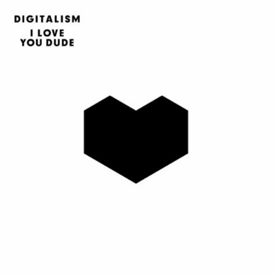 Digitalism I Love You Dude