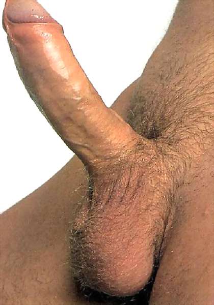 image of cock sex tube