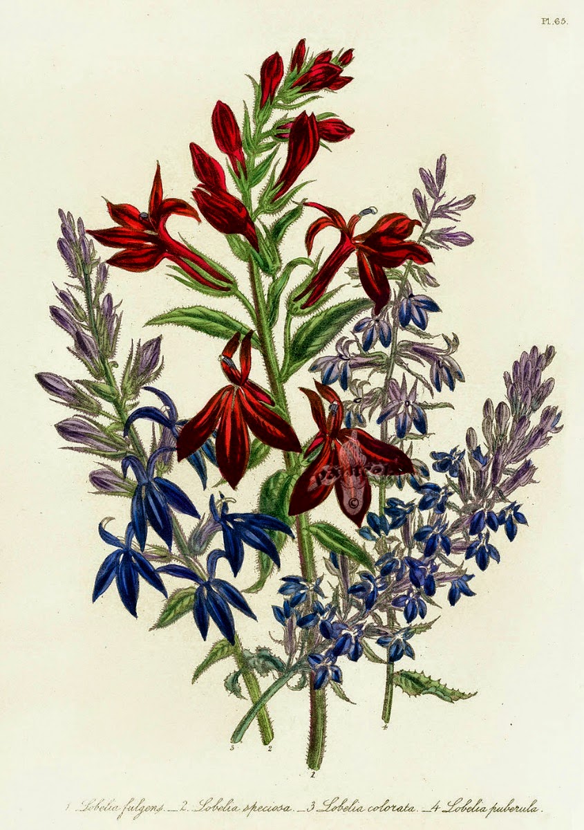 Infotainment @ www.keralites.net Fun & Info @ Keralites.net