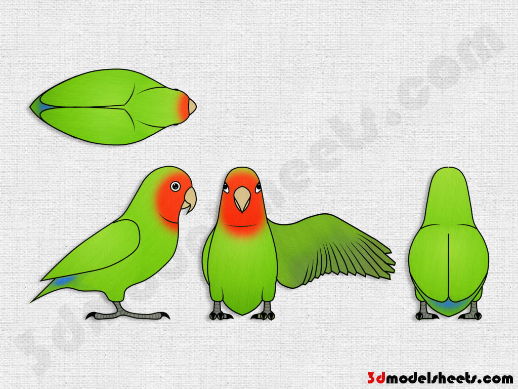 HIGH RESOLUTION TEXTURES Free Animal Blueprints Model Sheets