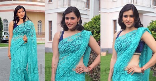 barbie wearing saree