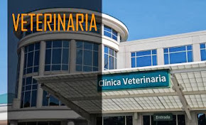 Veterinaria