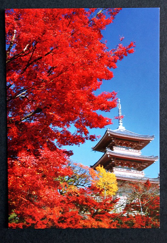 Postcards, Letters and Stamps Japan postcards (7 of them)