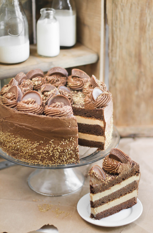 Peanut Butter Cup Brownie Cake Sprinkle Bakes