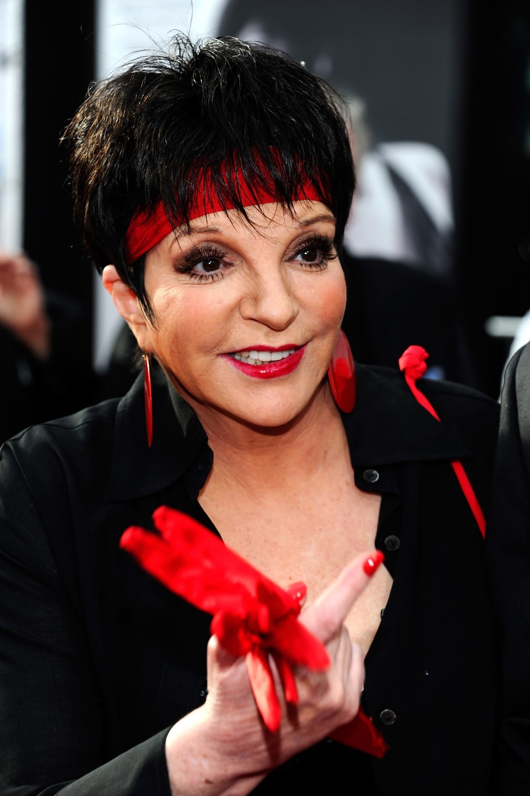 Liza Minnelli HairStyles.