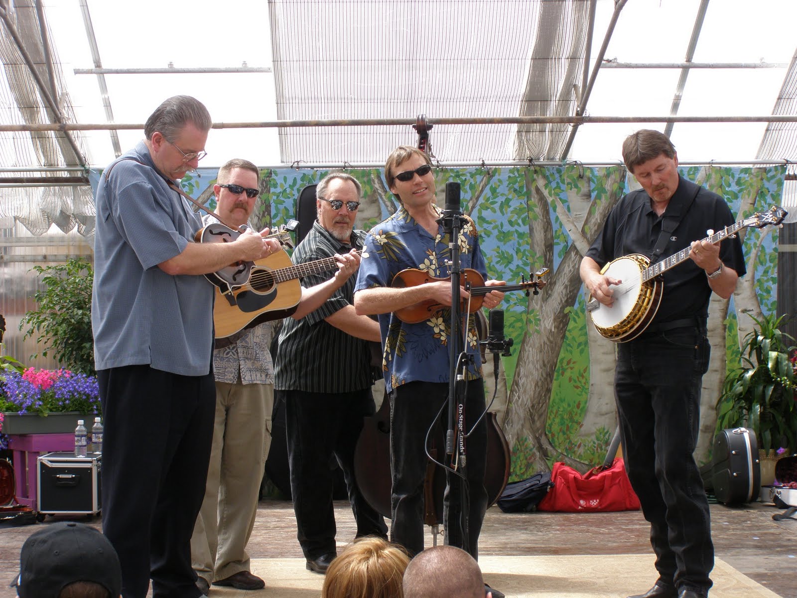 Colorado Music Traditional bluegrass band next up