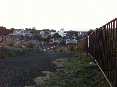 Img_1385 Img_1385