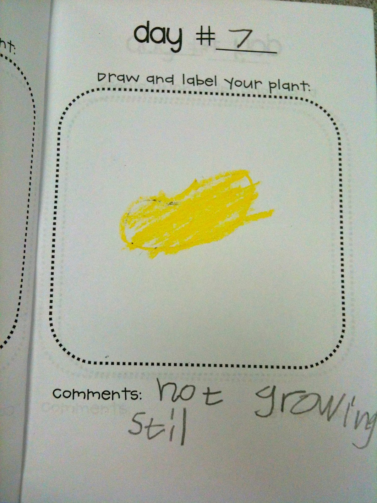 Kindergarten SuperKids More Plants!
