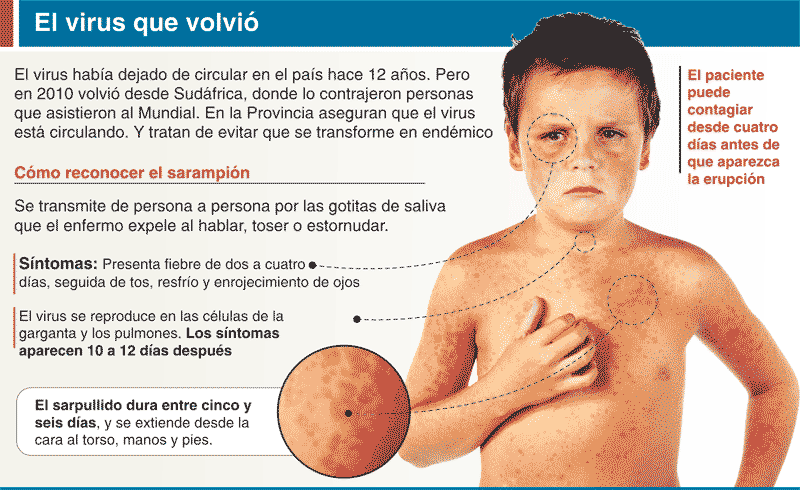 Los parásitos en el organismo de la persona los síntomas y el tratamiento de la medicina