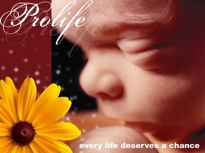 Pro Life Babies
