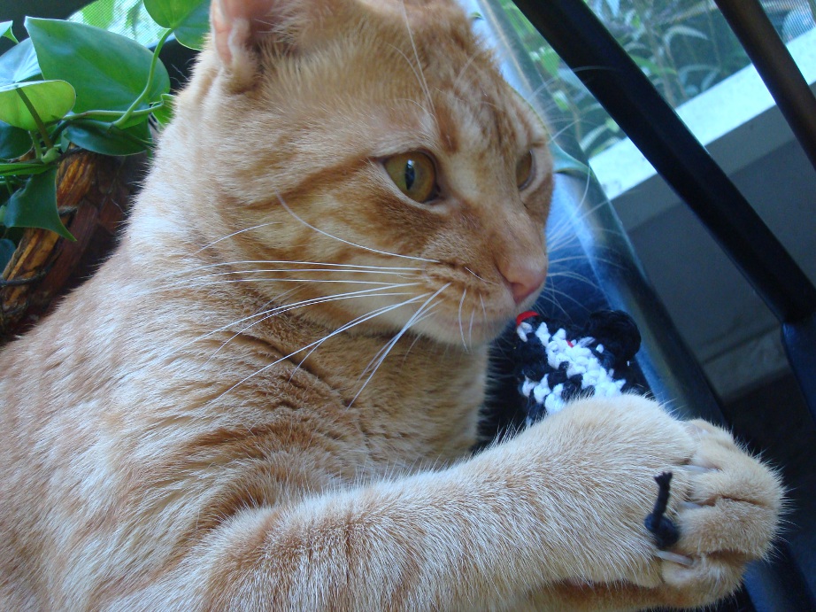 NyanPon.com: My Cat's Favorite Mouse