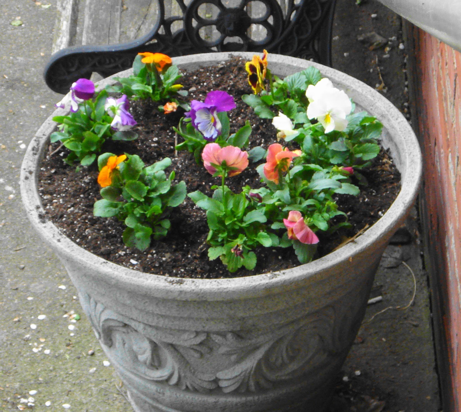 PlumWater Cottage: March 2012