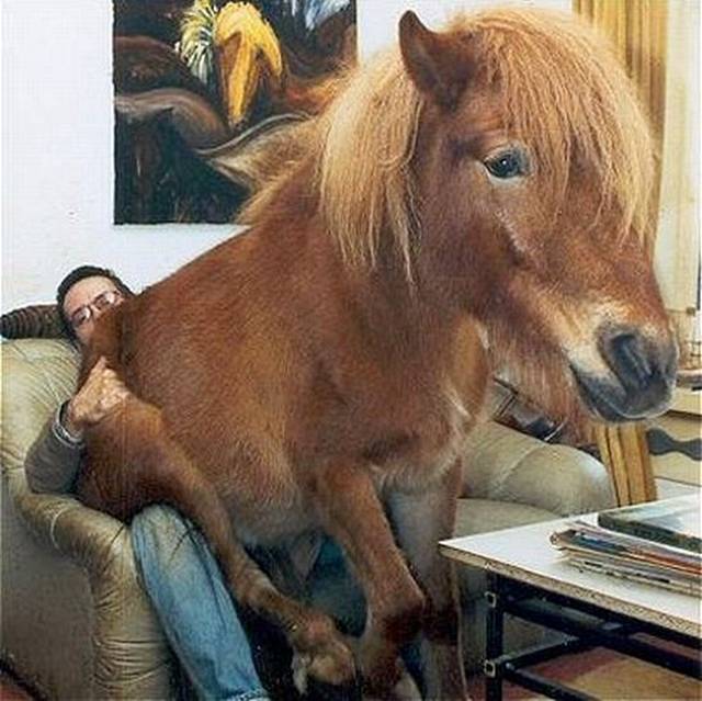 Мастурбатор В Виде Животных