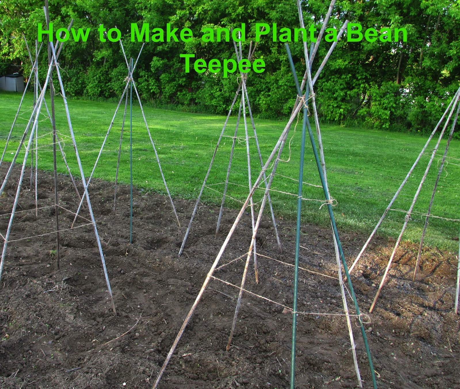 Vickie's Kitchen and Garden In the Garden How to Make and Plant a