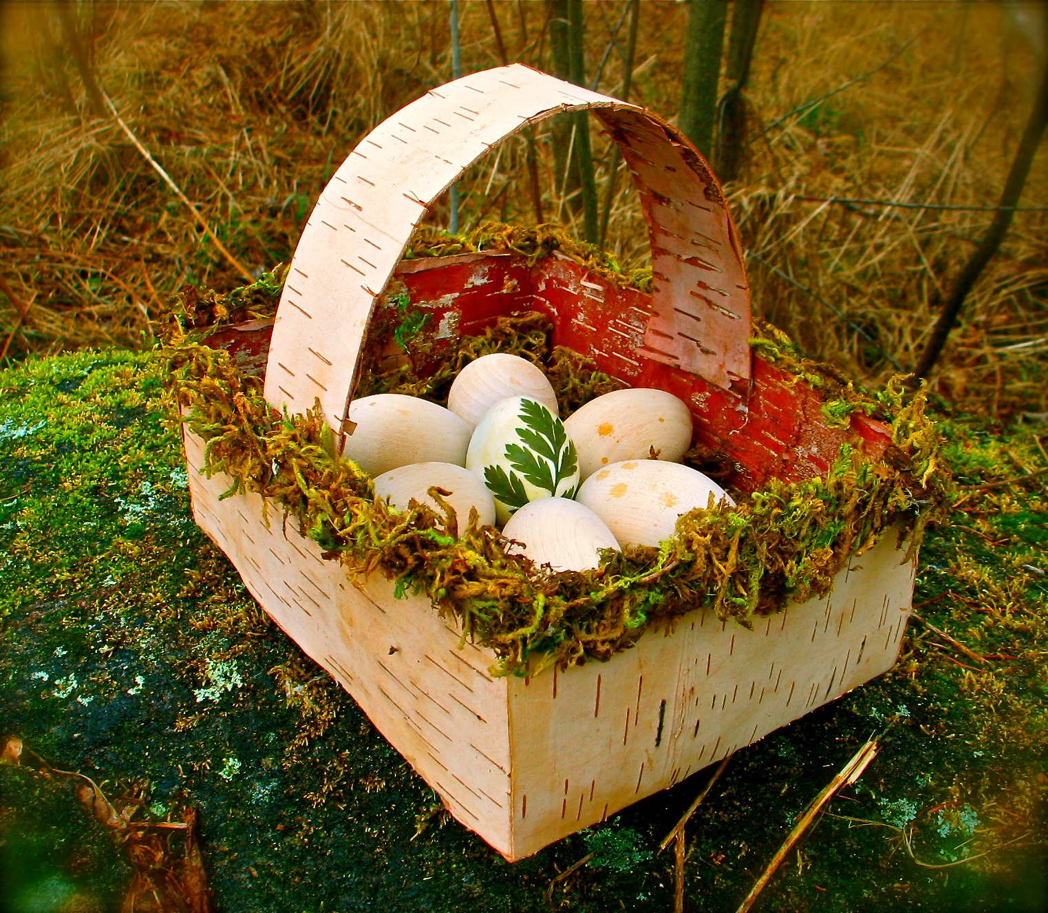 Twig and Toadstool Birch Bark Basket