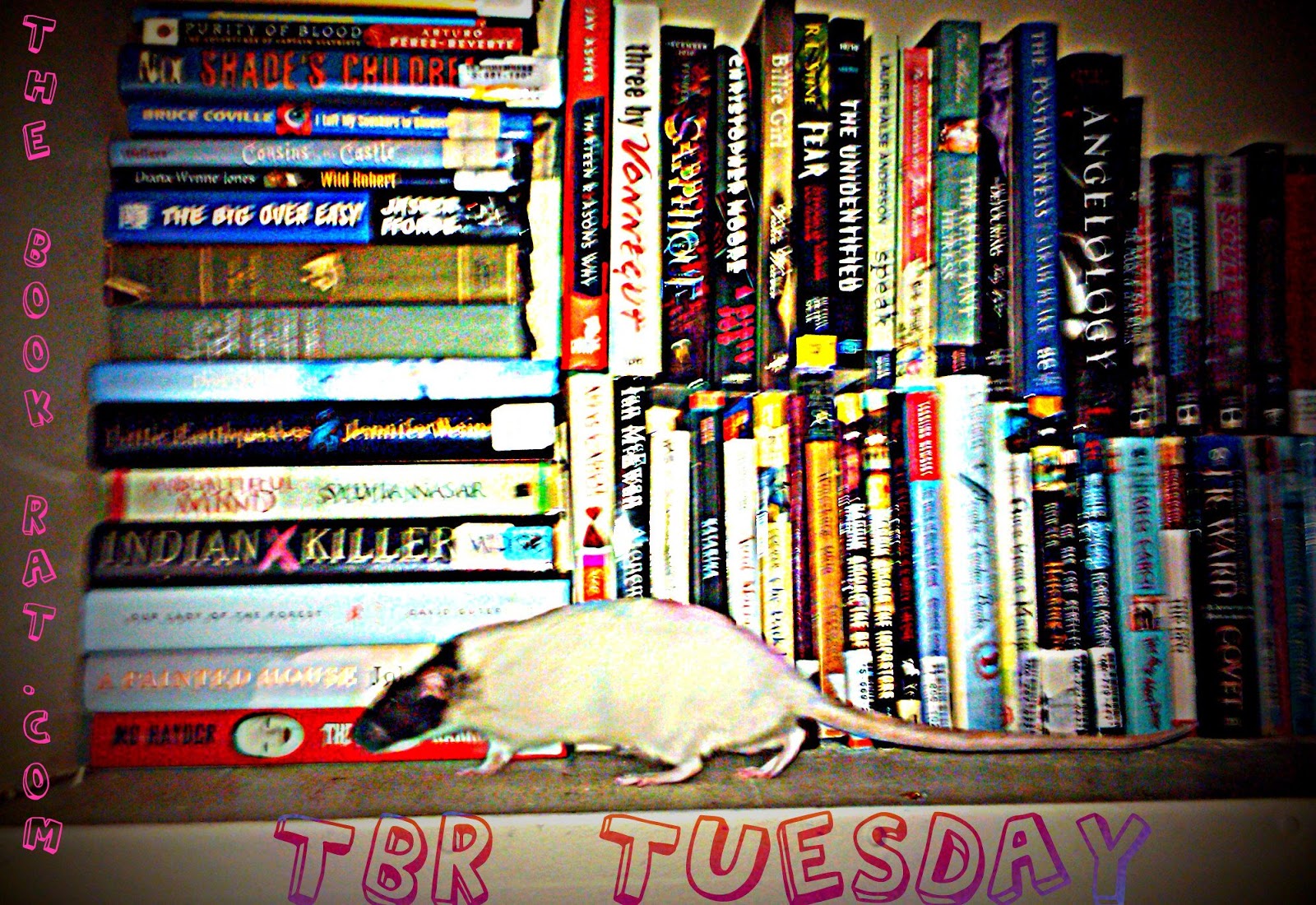 Surgent Love Un Magazine 14 1 Un Projects