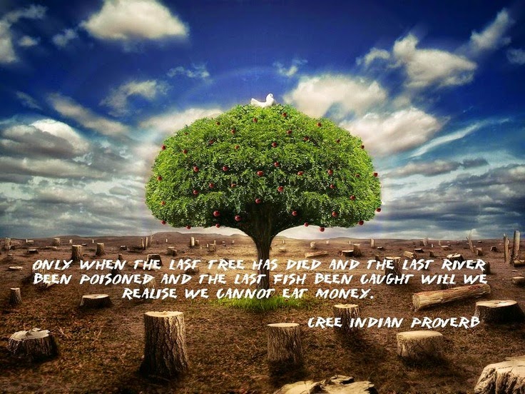 Only when the last tree has died and the last river been poisoned and