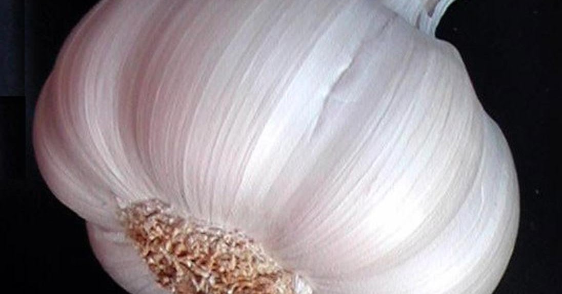 Natural Health The AntiParasite Diet Foods that Make Parasites Run