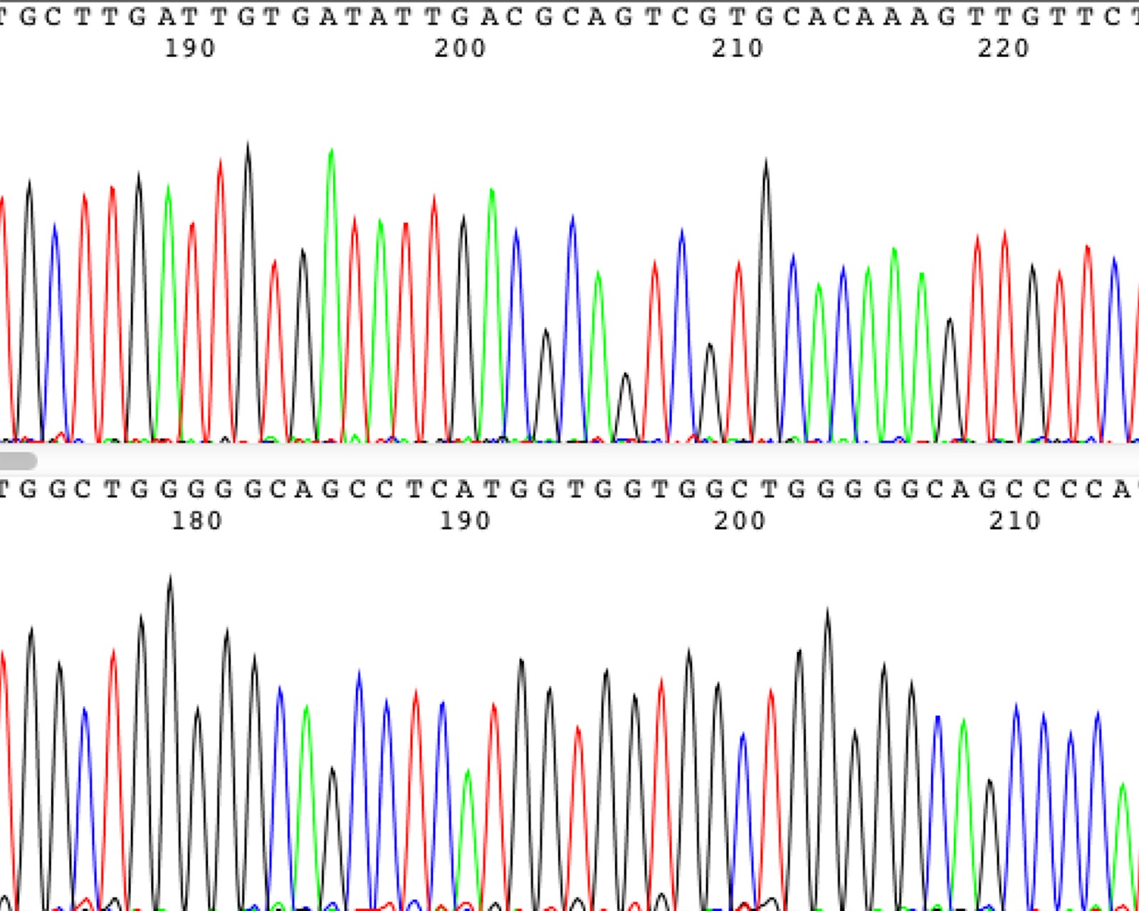 trace file dna sequencing 4peaks trace file dna sequencing 4peaks