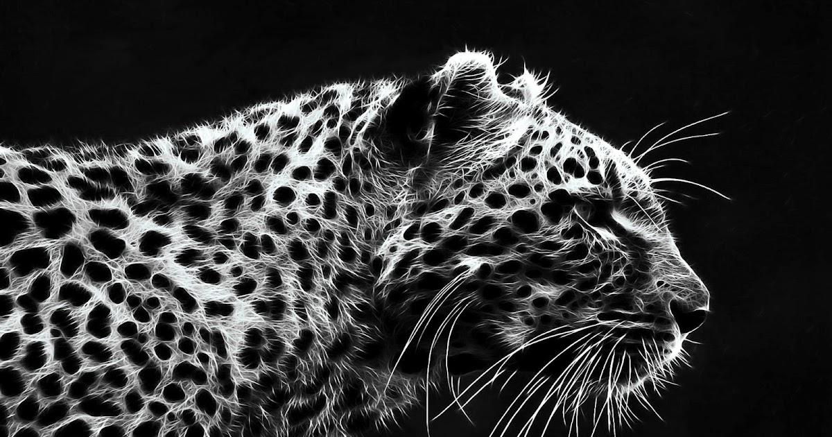 Black BG HD Digital Dark Theme Wallpapers 1920x1080 for desktop