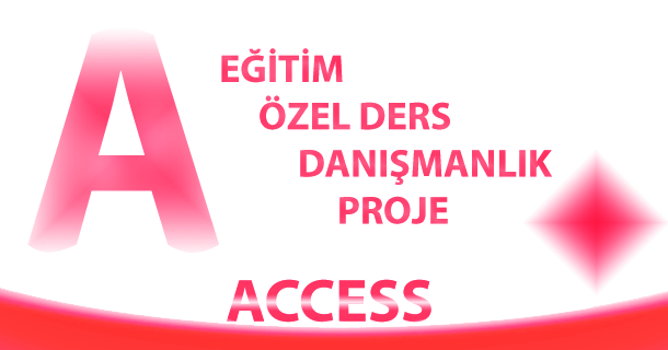 Access Uzmanı