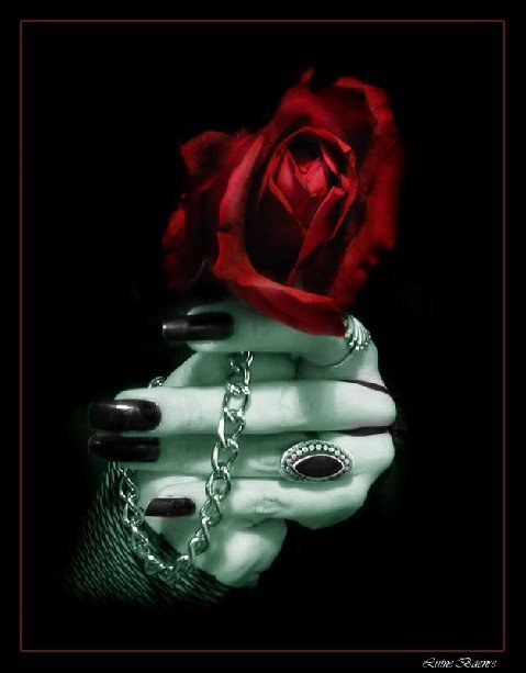 PENSAMIENTOS - Página 2 Goth+rose