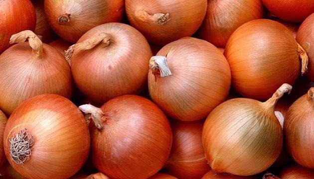 Soğan çeşitleri kış çeşitleri. Kışlık soğanın yetiştirilmesi Soğan çeşitleri kış çeşitleri. Kışlık soğanın yetiştirilmesi