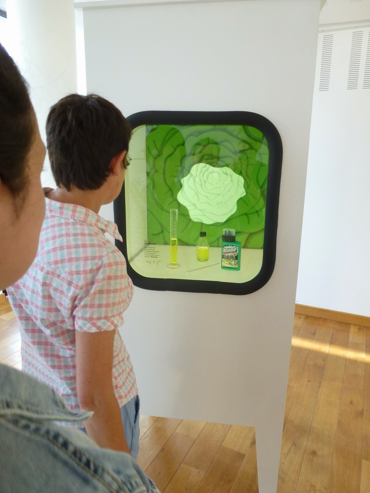 http://mediathequequimperle.blogspot.fr/2014/06/attention-manger-les-peurs-alimentaires.html