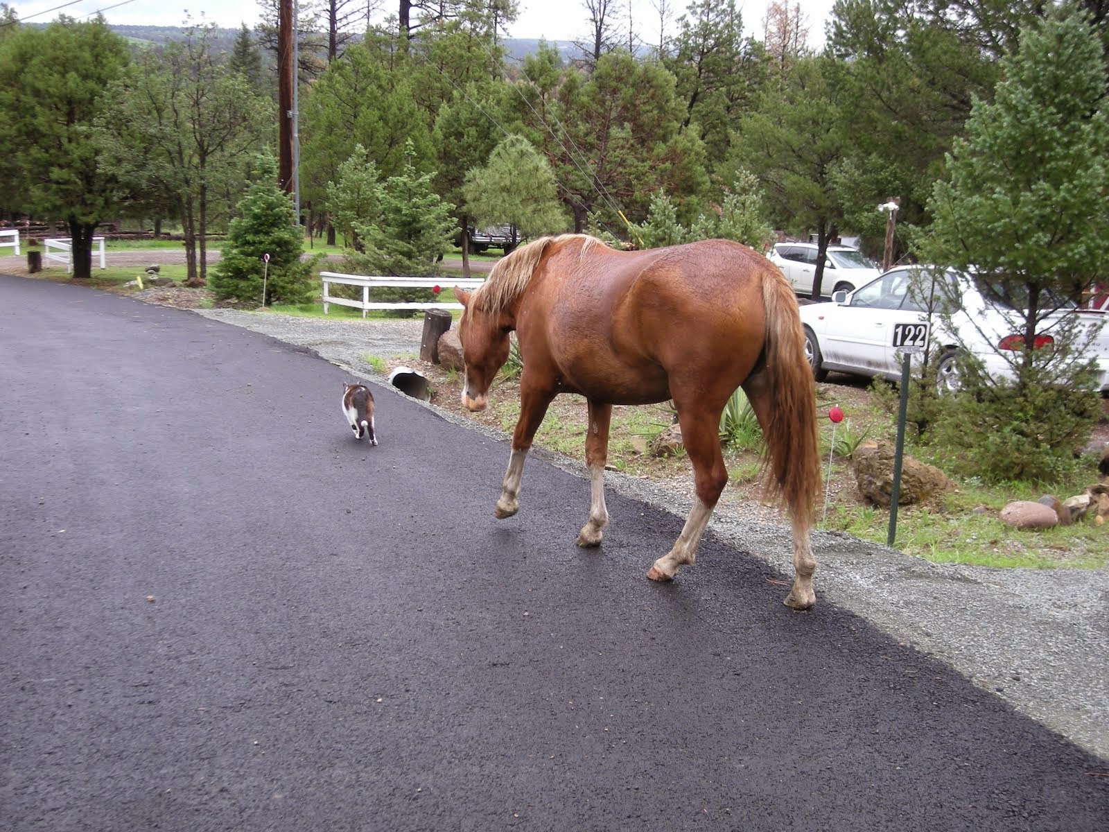 Catwalk