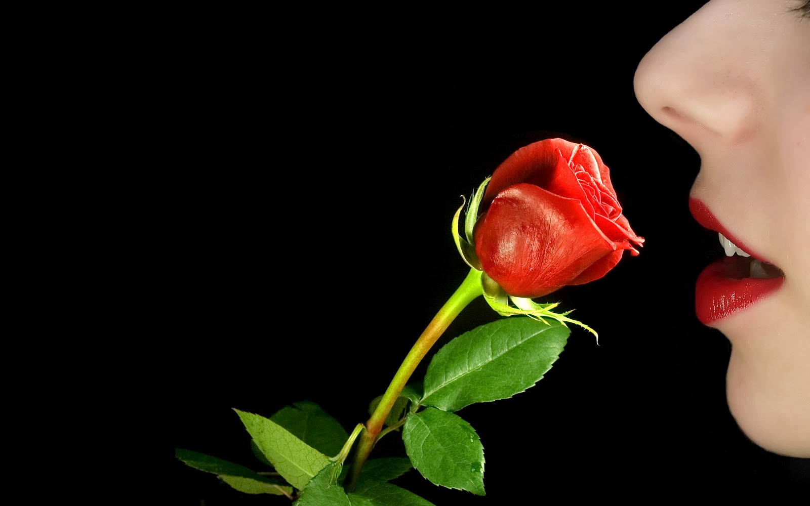 http://3.bp.blogspot.com/-RCaTzC-FfYI/TyxT_llDm_I/AAAAAAAAAOQ/Cj_j1ojySII/s1600/sweet%20girl%20loves%20rose%20HD%20wallpaper.jpg