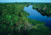 Amazonas regnskog, ofta bara Amazonas, är en tropisk och subtropisk regnskog .