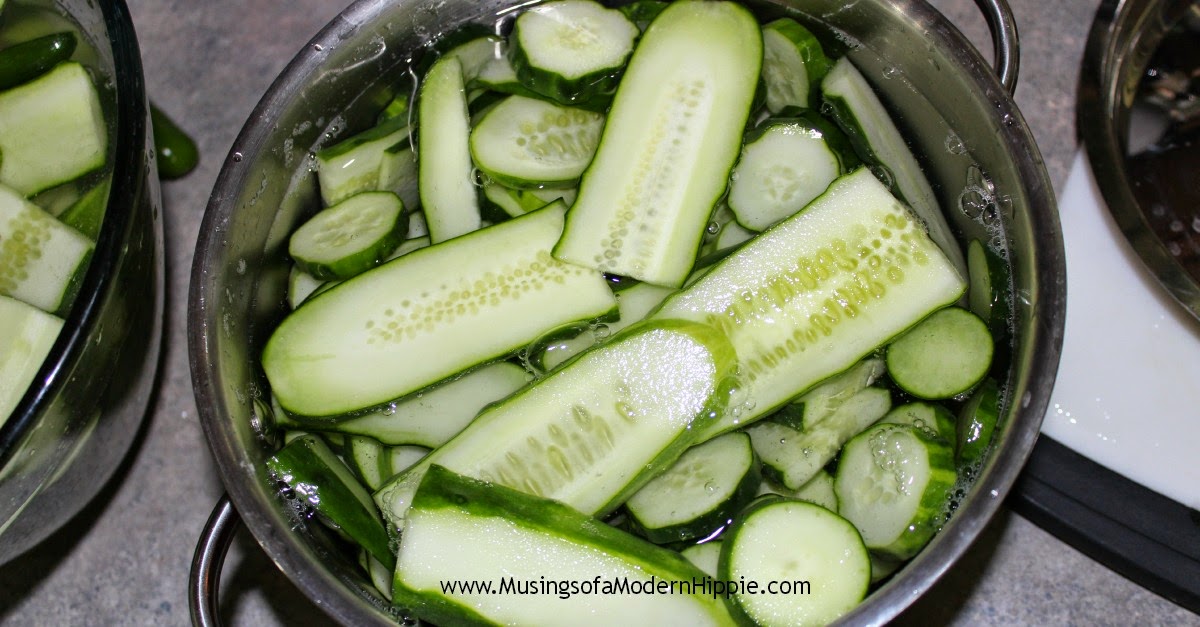 Crunchy Fermented Sweet Pickles