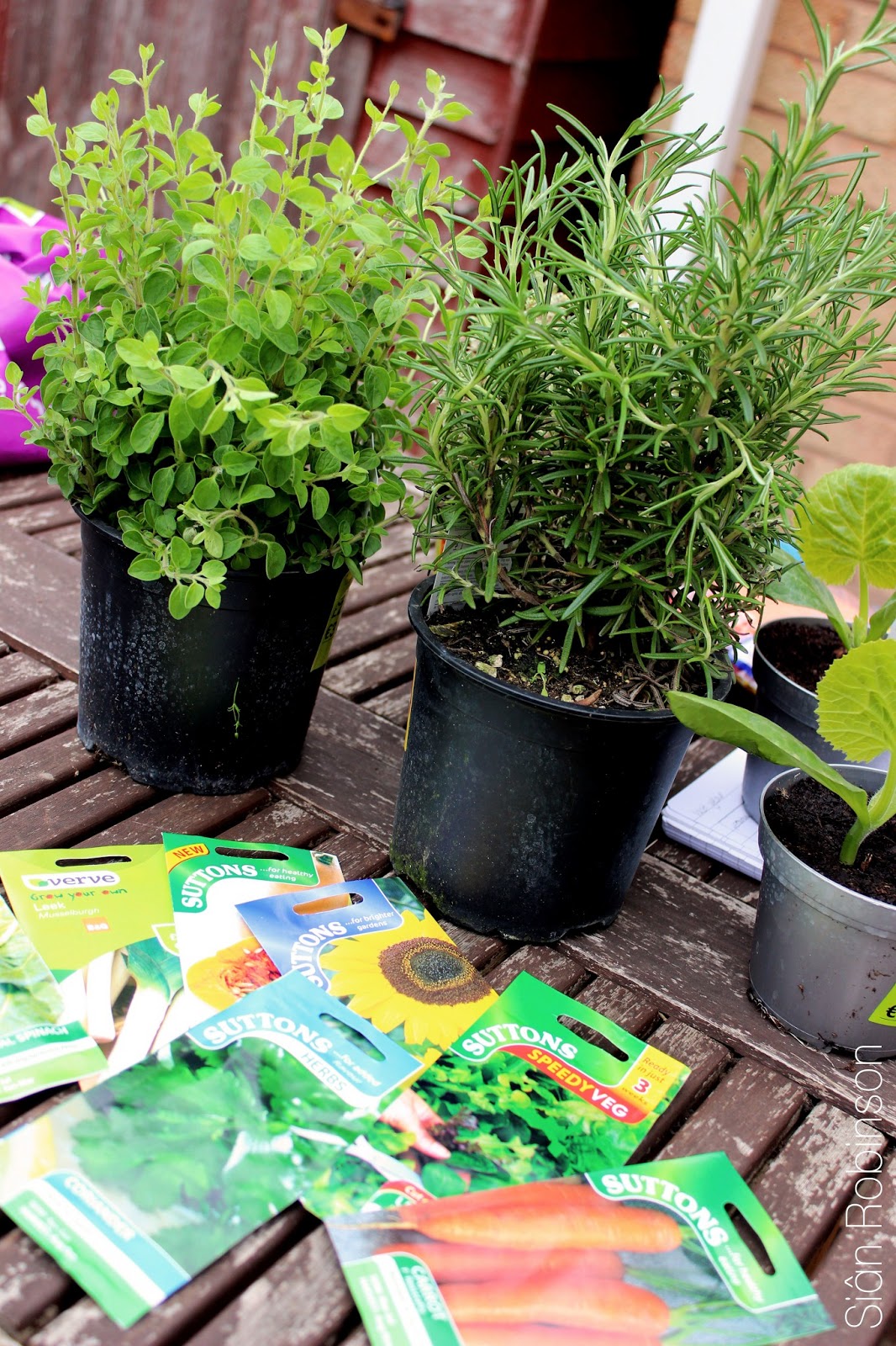 The Wild Things Nature is clever like that..